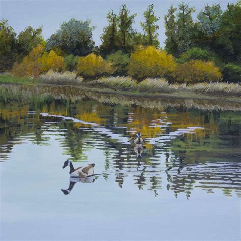 Ducks at William B. Pond – Yolanda Aubuchon Fine Art