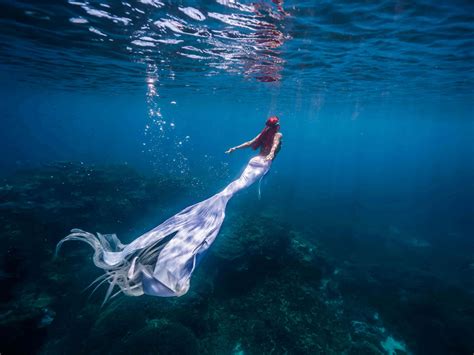 [1400+] Mermaid Aesthetic Wallpapers