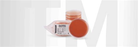 MacCONKEY AGAR PLATE (W/ 0.15% BILE SALTS, CV and NaCl ) – TM Media