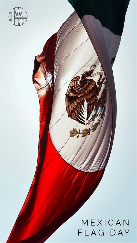 Mexican Flag Day! | Mexico, Mexico city, Mexico history