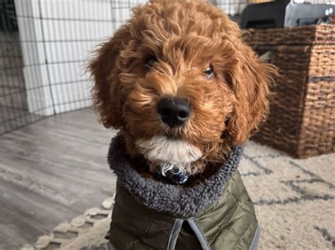 Salt Lake Off-Road & Outdoor Expo is back to celebrate 10 years at the ...