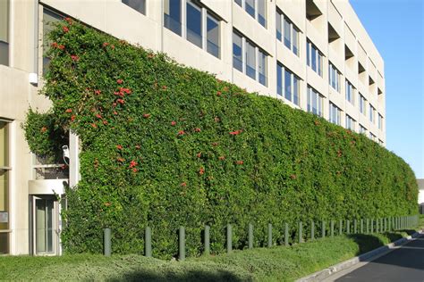 Greenscreen Architecture 的图像结果