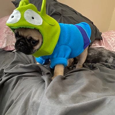 Image result for Alien Dog Costume