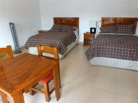 EL VIEJO AHUEHUETE (Santa Maria del Tule) - Hotel Reviews & Photos ...