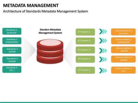 Metadata Management Process Flow 的图像结果