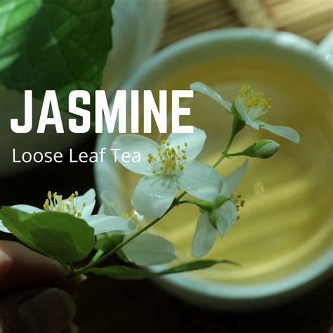 Jasmine Green Tea Loose Leaf – ½ lb and 2 lb Bags | Premium Quality Leaf