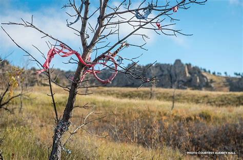 Protecting Native American Sacred Sites