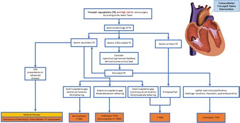 Contemporary Approach to Tricuspid Regurgitation: Knowns, Unknowns, and Future Challenges ...