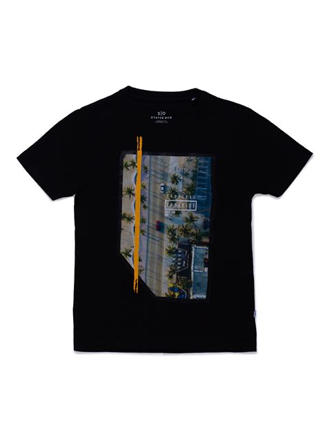 Buy Printed Regular Fit T-shirt For Kids | Status Quo