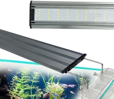 Jainsons Pet Products Aquarium Fish Tank for Planted/Nature Aquarium ...