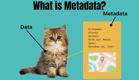 Metadata GIS 的图像结果