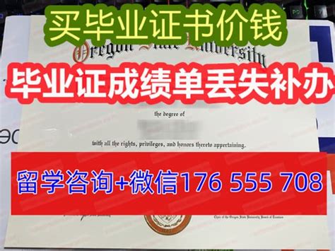 学历填硕士还是研究生（学位是填硕士还是硕士研究生）-吾测网