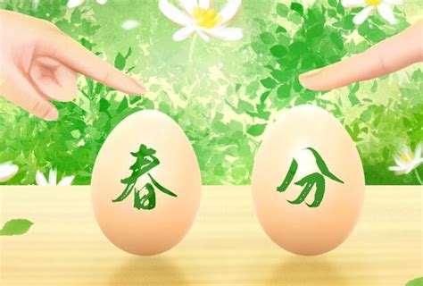 春分为什么立鸡蛋_中国习俗_习俗文化_食品科技网
