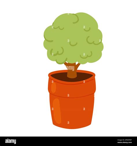 Decorative tree in a pot. Gardening landscape, potted plant, small decoration tree vector ...