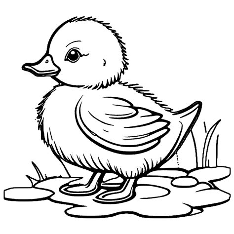 Pigeon And Duckling Coloring Pages