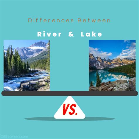 River vs Lake Differences: Unveiling Nature's Aquatic Contrasts