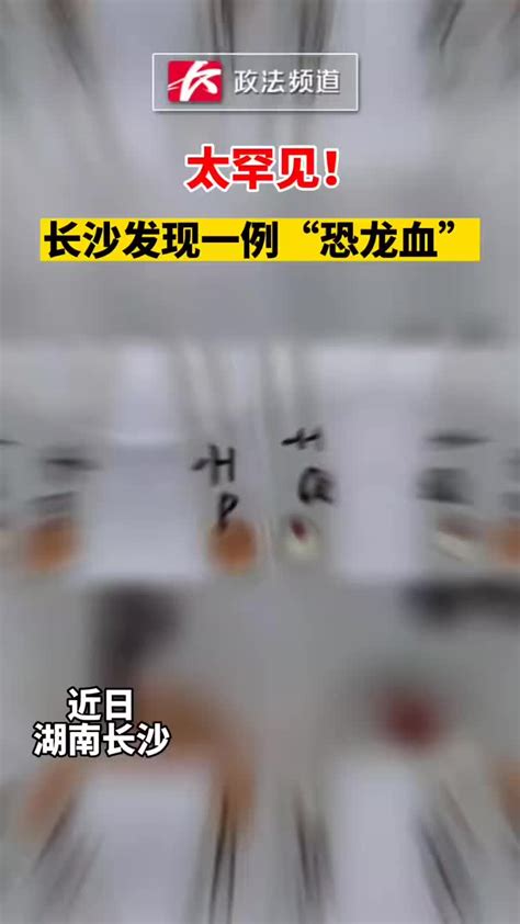 太罕见！长沙发现一例恐龙血血型 比熊猫血更稀有_手机新浪网