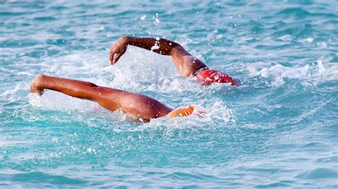 Open Water Swimming 的图像结果