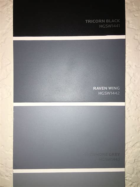 Raven Wing Paint Color by Sherwin Williams