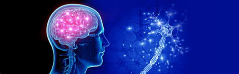Neurology Hospital in Nashik | Neurology center in nashik ...