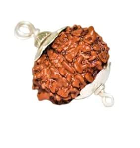 Venus Gems Gallery 9 Mukhi Rudraksh with Certificate Religious Nine ...