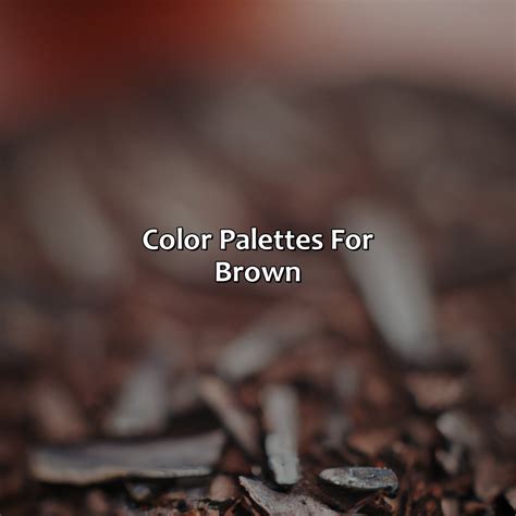 What Color Goes Well With Brown - colorscombo.com