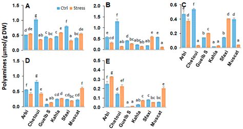 Evaluation of Salt Stress-Induced Changes in Polyamine, Amino Acid, and ...