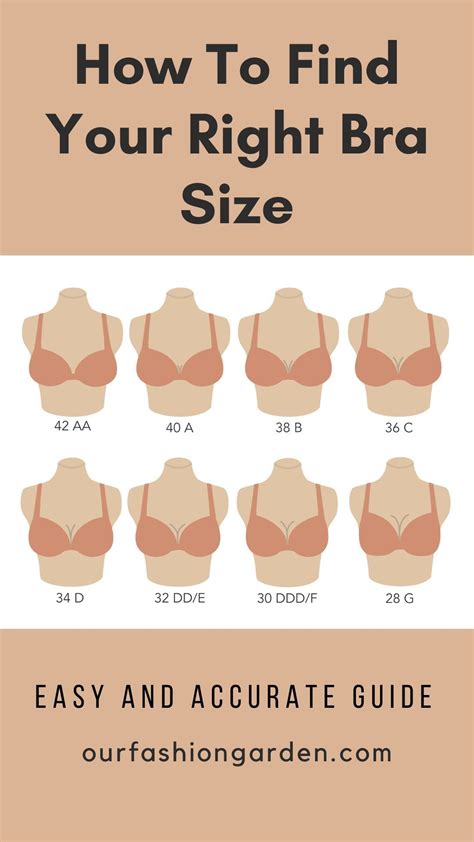 How to Find Your Bra Size: The Easy Guide | Bra fitting guide, Correct ...