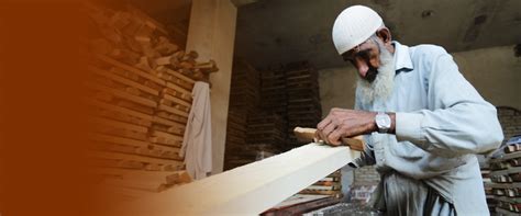 Indian Tigers | Manufacturing Catalogues