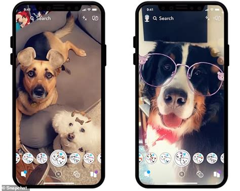 Does Snapchat Have Filters For Dogs