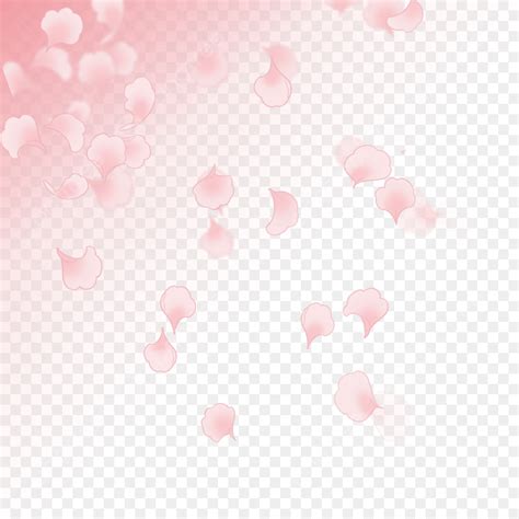Cherry Blossom Petals PNG Picture, Cherry Blossom Petals Illustration ...