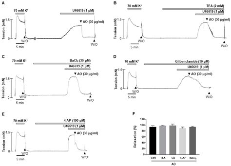 Vasodilatory Effect of Alpinia officinarum Extract in Rat Mesenteric ...