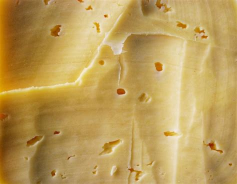 Cheese 的图像结果