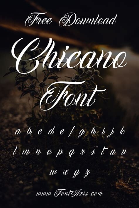 Chicano Font in 2025 | Tattoo fonts generator, Tattoo fonts, Tattoo ...