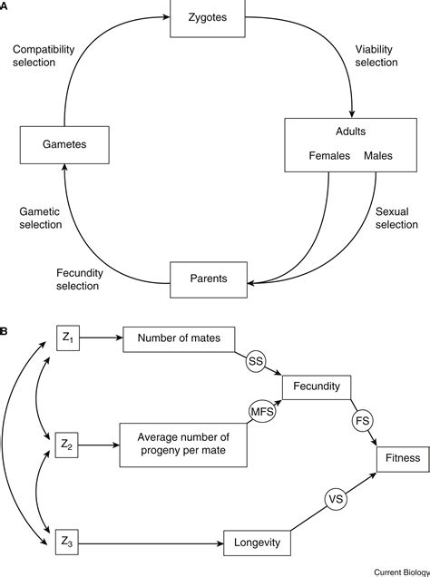 Image result for Introduction to Computer Science