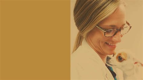 Heartland Veterinary Partners Careers