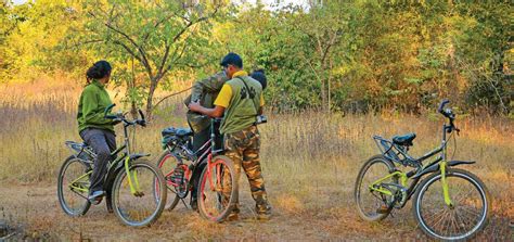 Adventure & Jungle Activities in Tadoba