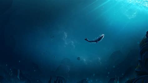 Download wallpaper 2560x1440 whale, ocean, underwater world, air ...
