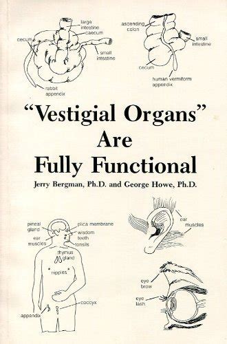 Vestigial Organs Are Fully Functional: A History and Evaluation of the ...