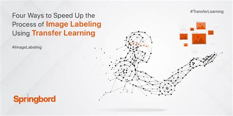 Deep Learning Training Image Labeling Process 的图像结果
