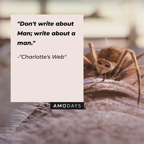 34 Charlotte’s Web Quotes from the Story That Never Gets Old
