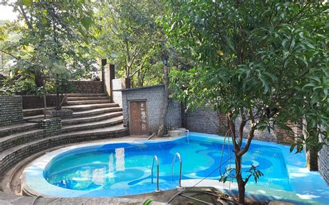 Spend Time With Your Pupper At This Gorgeous Homestay Made of 75,000 ...