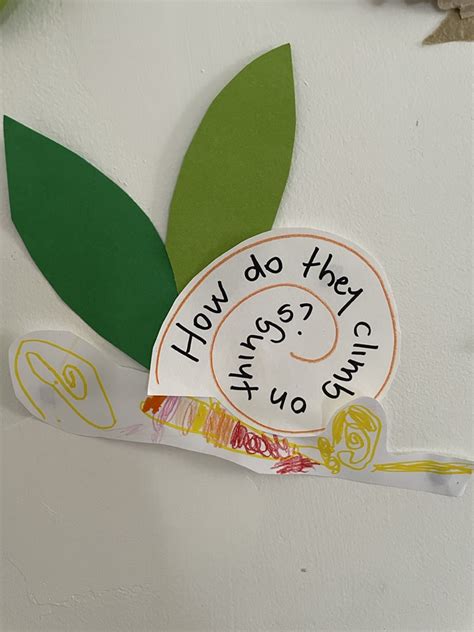 Image result for Snails Learning