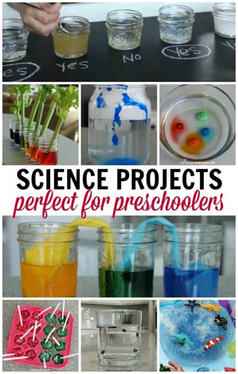 Pre-K Science Project 的图像结果