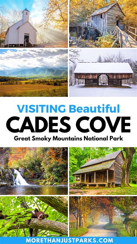 CADES COVE | Great Smoky Mountains National Park (Guide + Map)