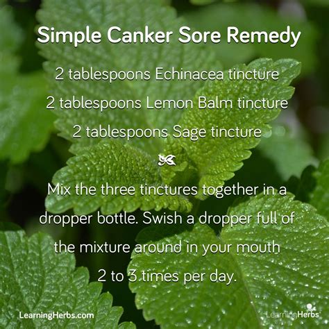 Discover the Best Home Remedy for Canker Sore on Tongue: Expert Tips for Fast Relief - Wave Sold