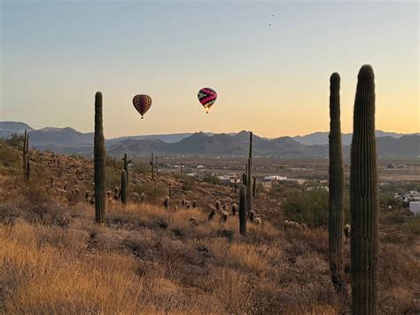 DESTINATION BALLOON RIDES (2026) All You Need to Know BEFORE You Go ...