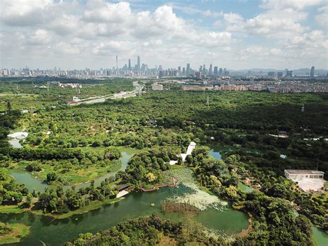 全力以赴，迎接IUCN绿色名录专家评审团-广东广州海珠国家湿地公园-湿地中国