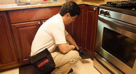 Pioneer Pest Control | General Pest Control