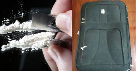 In A First, Woman Arrested In China For Travelling With A Suitcase Made ...